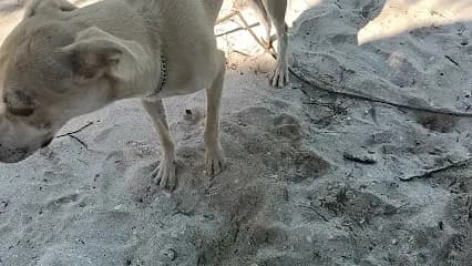 Foto de Taller automotriz "Dioni"