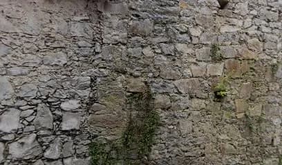 Foto de taller mecanico los wichos