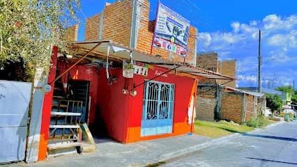 Foto de Auto Cristales elevadores Fausto Briseñas